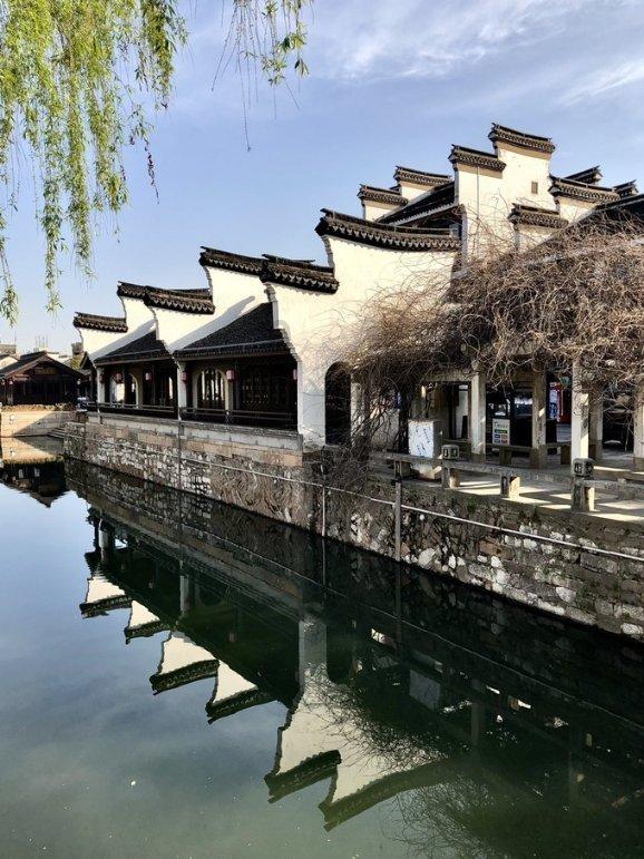 十二生肖中，其他动物都能在生活中见到，只有龙不是，为什么？游戏画面